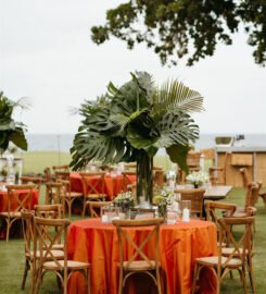 Sarah Troncoso Wedding and Event Planning